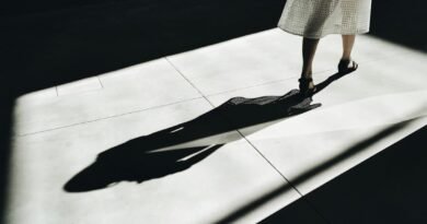 Apprivoiser son Ombre : 7 Clés pour Apprivoiser son Ego et Libérer sa Puissance Intérieure