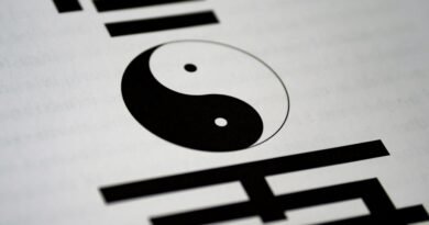 Yin et Yang Les Forces Invisibles qui Sculptent l’Équilibre du Monde
