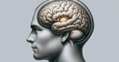 L’Épiphyse, Porte de la Conscience Du Troisième Œil à la Science Moderne - conscience.oteweb.com -