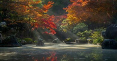 à propos de Conscience