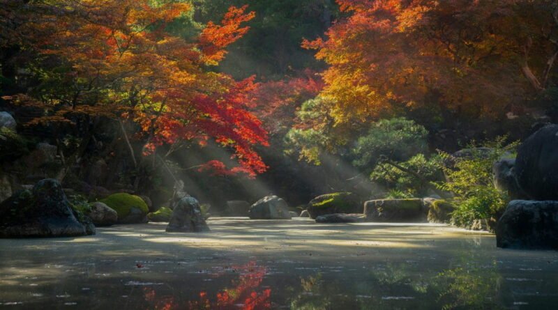 à propos de Conscience