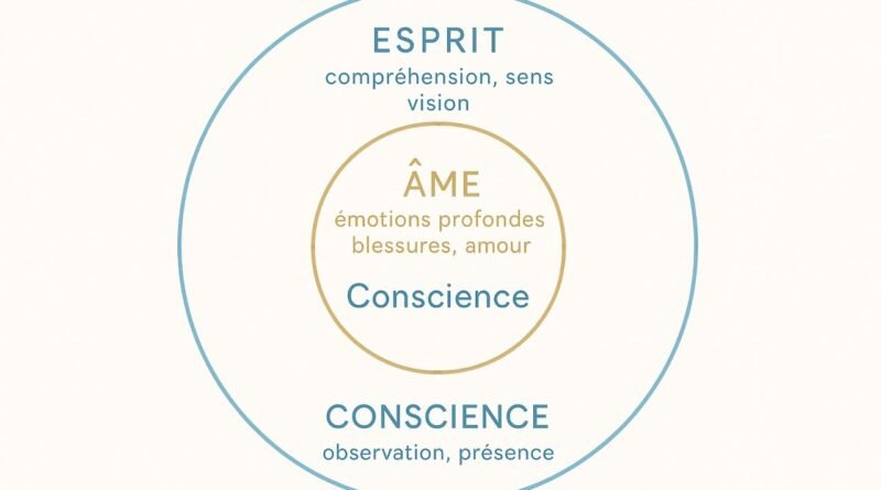 conscience.oteweb.com - Conscience, âme, esprit enfin des définitions simples pour ne plus te perdre