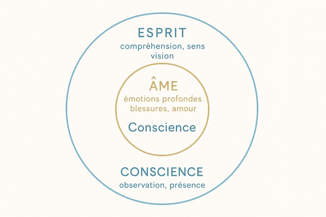 conscience.oteweb.com - Conscience, âme, esprit enfin des définitions simples pour ne plus te perdre