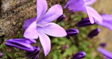 Évolution spirituelle 5 pas concrets pour changer ta vie sans gourou ni dogme