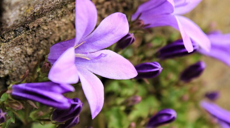 Évolution spirituelle 5 pas concrets pour changer ta vie sans gourou ni dogme