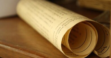 Newton, alchimie et textes sacrés le secret oublié du père de la science moderne