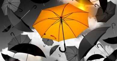 Sens de la vie ce que la science et la spiritualité peuvent vraiment t’apprendre pour avancer